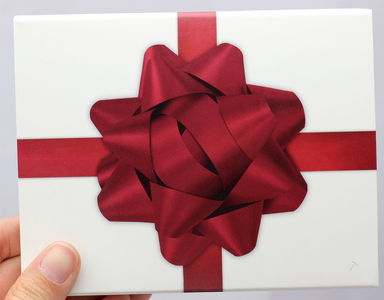 SilverTowne Natural Kraft Paper Gift Box with Maroon Bow Box Sleeve